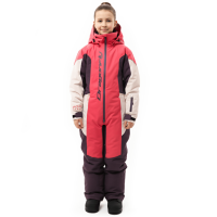 Dragonfly Зимний утепленный комбинезон Gravity Teenager Pink - Plum - Light Grey 2025 в Краснодаре