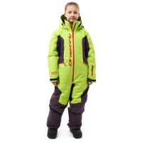 Dragonfly Комбинезон утепленный Gravity Teenager Lime - Plum 2025 в Краснодаре